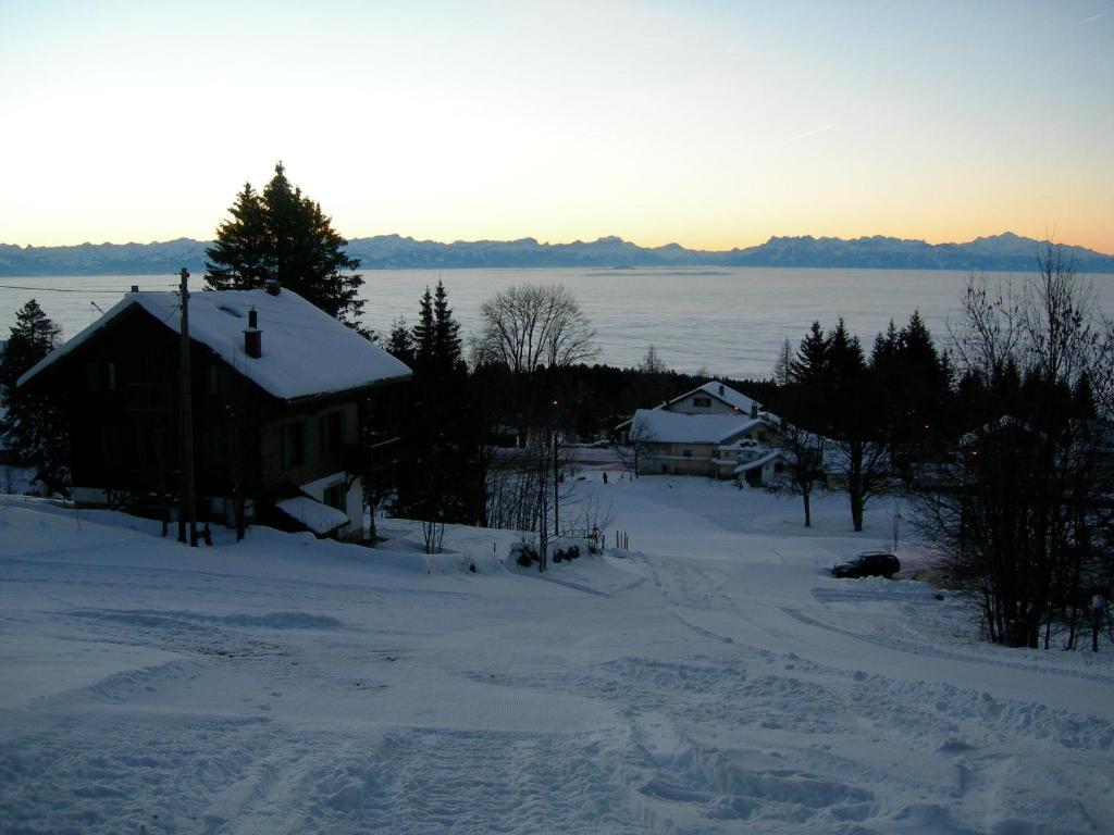 Le Coucou Et Chalet Beau-Site Hotel Les Rasses Eksteriør billede